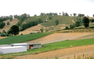 adeliade hills